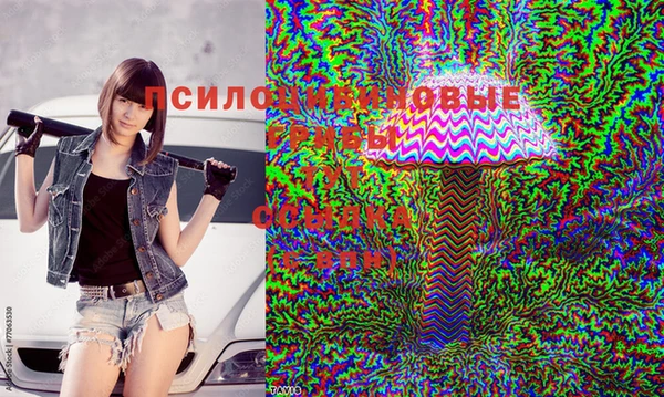 первитин Вязники
