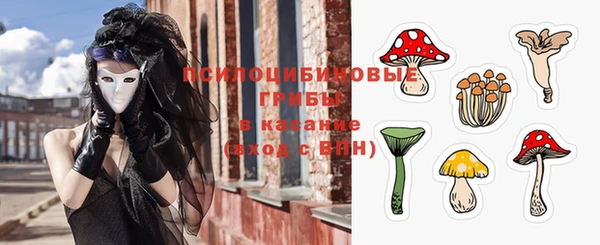 бошки Вязьма