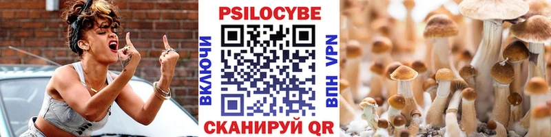 где купить наркотик  Звенигород  Галлюциногенные грибы GOLDEN TEACHER 